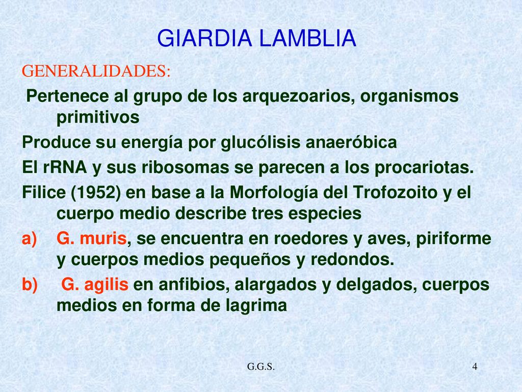 especies de giardia especies de giardia